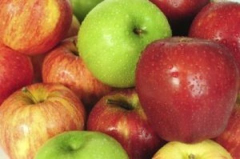 درآمد ۱۲میلیونی از سیب ۳۰۰ تومانی